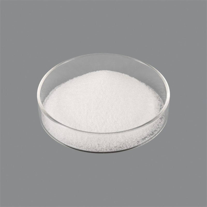 Polyacrylamide Flocculant untuk penyahairan enap cemar